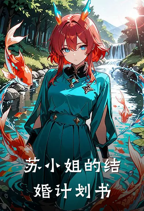 苏小姐的结婚计划书